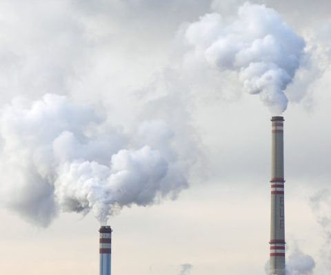 Can Carbon Capture Utilisation and Storage be profitable?